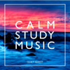 Calm Study Music - Quiet Quest