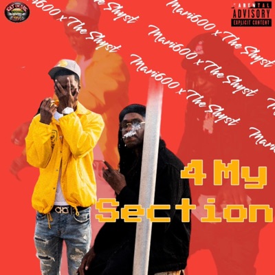 4 My Section - Single