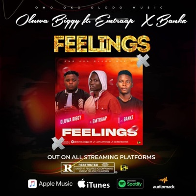 Feelings (feat. Emtraap & Bankz) - Single