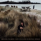 New Zealand Survival Songs artwork