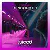 Stream & download The Picture of Life - Single