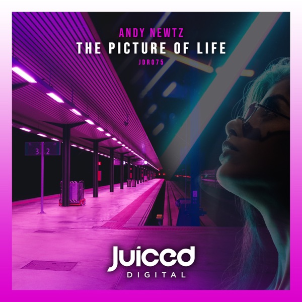 The Picture of Life - Single