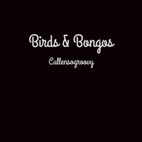 Birds & Bongos - Single - CullenSoGroovy