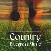 Country Bluegrass Music artwork