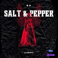 Salt & Pepper Remix - Single - maphelden