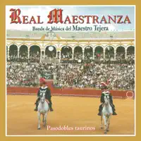 Churumbelerias — Banda de Musica del Maestro Tejera