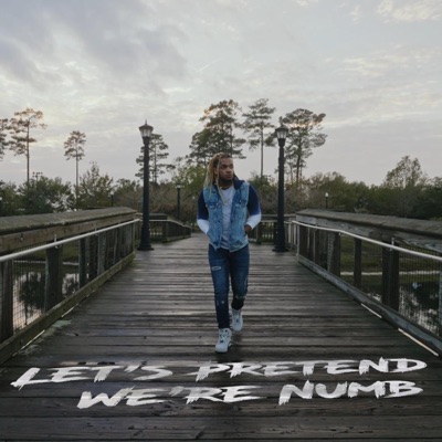 Let's Pretend We're Numb - Single
