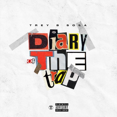 Diary of the Trap