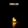 Thanasis Papakonstantinou - Urbanum artwork