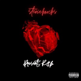 Make Love Stevieknocks