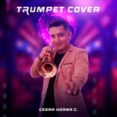 Despacito (Trumpet Version) artwork