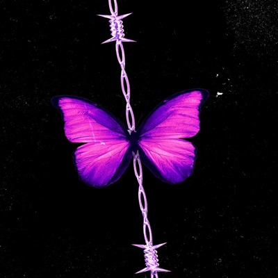 La Farfalla 2 - Single