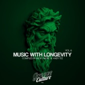 Music With Longevity, Vol. 6 (Compiled By Micky More & Andy Tee) artwork