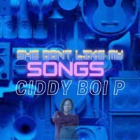 She Dont Like My Songs (Radio Edit) - Single - Ciddy Boi P