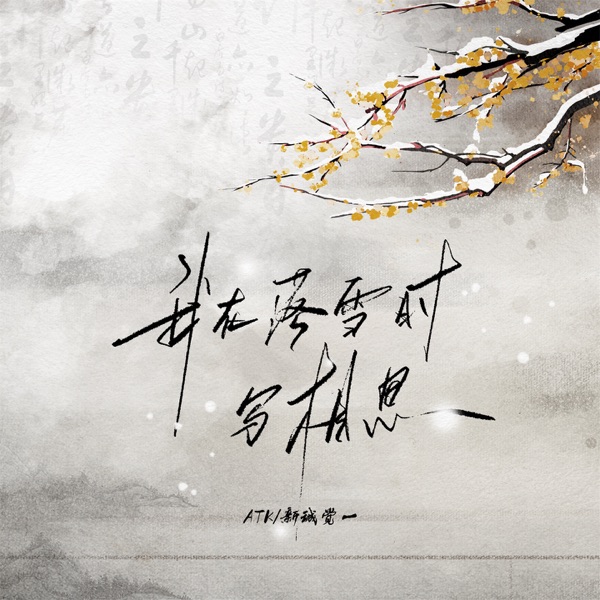 我在落雪时写相思 (DJ版) - Single
