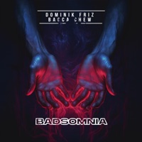 Badsomnia - Single - Dominik Friz & Bacca Chew