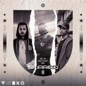 SHARED 2 (feat. Naji Mahmood) artwork