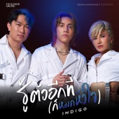 รู้ตัวอีกที (ก็หมดหัวใจ) [Original Soundtrack From "ในรอยทราย"] artwork