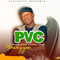 Permanent Voters Card (PVC) - Single - Young Gee