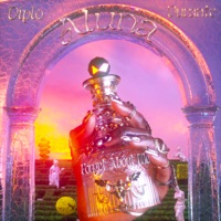 Aluna & Diplo - Forget About Me