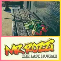 Cascade (feat. Hiromenbipp & N-Tyce) — Mr Rozzi