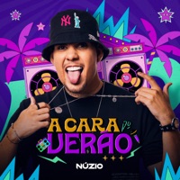 A Cara do Verão - Single - Nuzio Medeiros