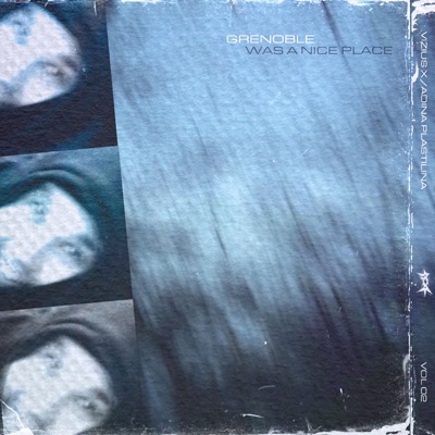 Grenoble was a nice place - Single