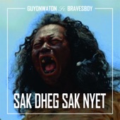 Sak Dheg Sak Nyet (feat. Bravesboy) artwork