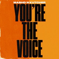 You're The Voice - Single - Mashd N Kutcher