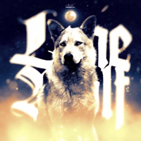 Lonewolf 2 - Single - Ari X