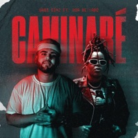 Caminaré - Single - Gabi Diaz & Ada Betsabe