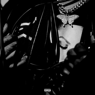 The SYSTEM (feat. Obsinema, NOYAN & SRRYSOULS) - Single