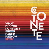 What Did You Run For? (Danilo Plessow Remix) artwork