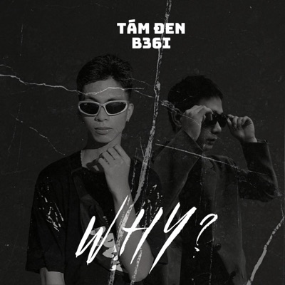 Why  (feat. Tám Đen & B36i) [RMX] - Single
