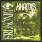 Erlkönig - Khamis lyrics