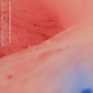 You Won't Return - Single