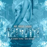 12 Puta (feat. Dj kaique silver) - Single - MC NEGO LAMA