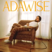 Adawise artwork