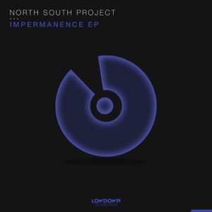Impermanence - Single