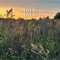 Trep Trep Remix 2023 (feat. Pete Roche) - Žalvarinis lyrics