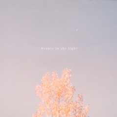 Beauty in the Light (Acoustic) - Single