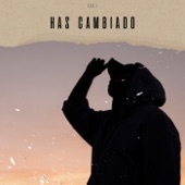 HAS CAMBIADO artwork