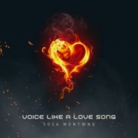 Voice Like a Love Song - Single - Sosa Montana