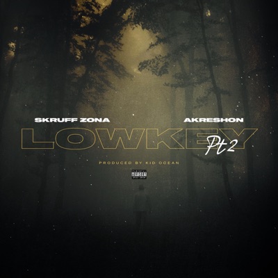 LowKey, Pt. 2 (feat. AkRESHON) - Single