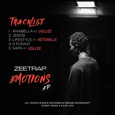 EMOTIONS EP - EP
