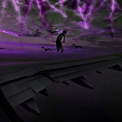 Flying Crazy - Single
