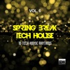 Laurent Brack Delicious Spring Break Tech House, Vol. 6 (10 Tech House Rhythms)