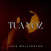 Tua Voz - Single - José Wellington