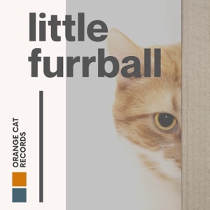 Little Furball