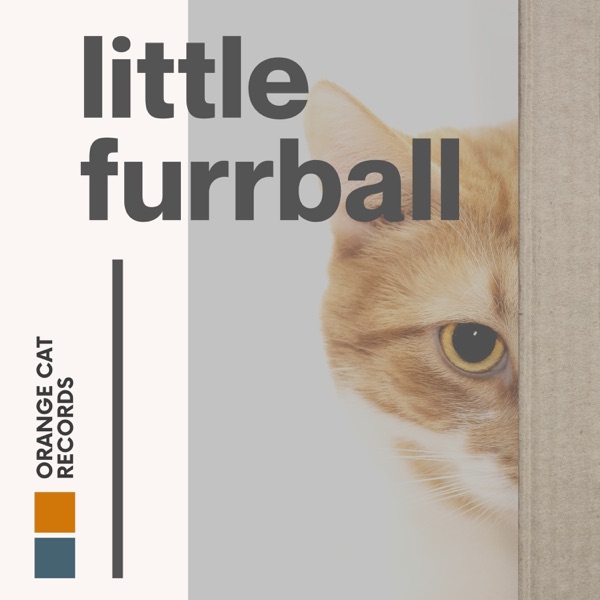 Little Furball